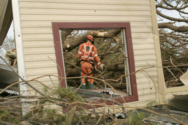 Best Arborist Consultation Services  in Fremont, NE